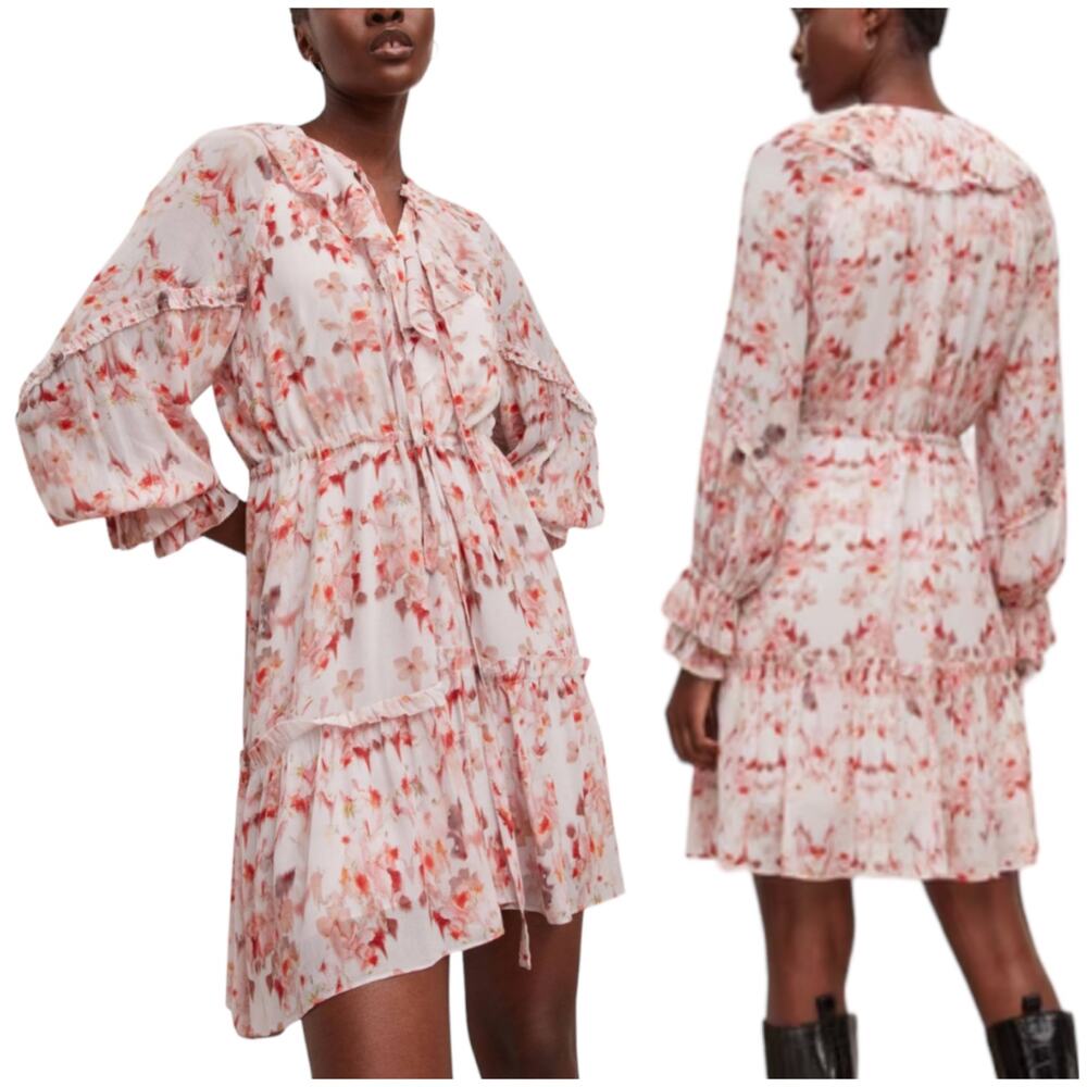 Allsaints NWT Ava Momo Floral Long Sleeve Ruffle Dress Size 2 Sheer Crinkle Pink